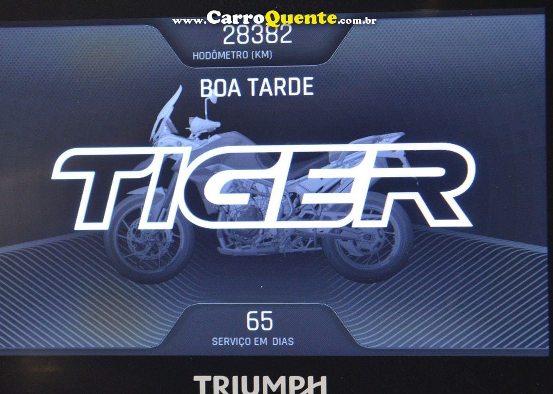 TRIUMPH TIGER 900 RALLY PRO - Loja