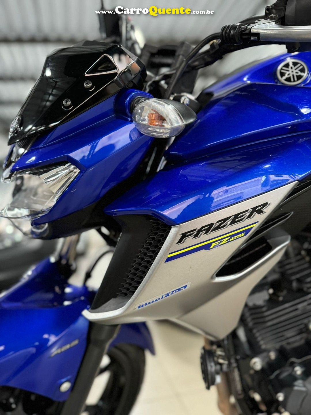 YAMAHA FAZER 250 BLUEFLEX  - Loja