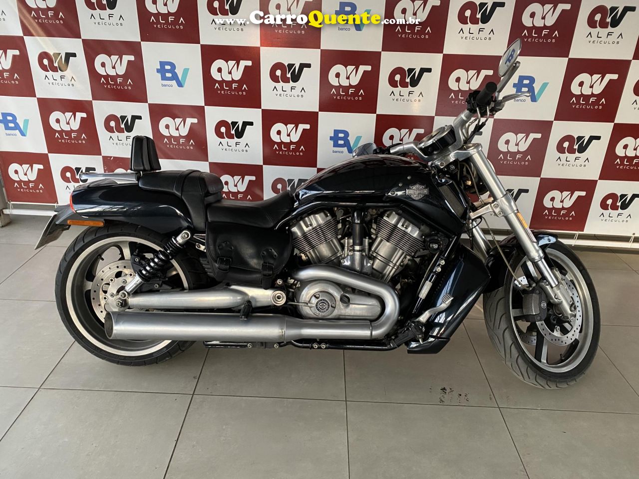 HARLEY-DAVIDSON   V-ROD 1250CC MUSCLE VRSCF   PRETO 2013 1250 GASOLINA - Loja