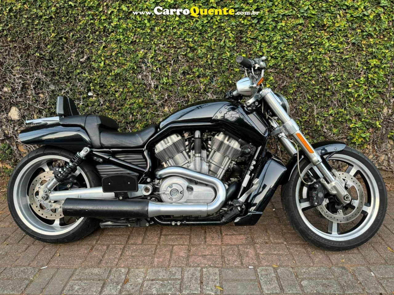 HARLEY-DAVIDSON   V-ROD 1250CC MUSCLE VRSCF   PRETO 2013 1250 GASOLINA - Loja