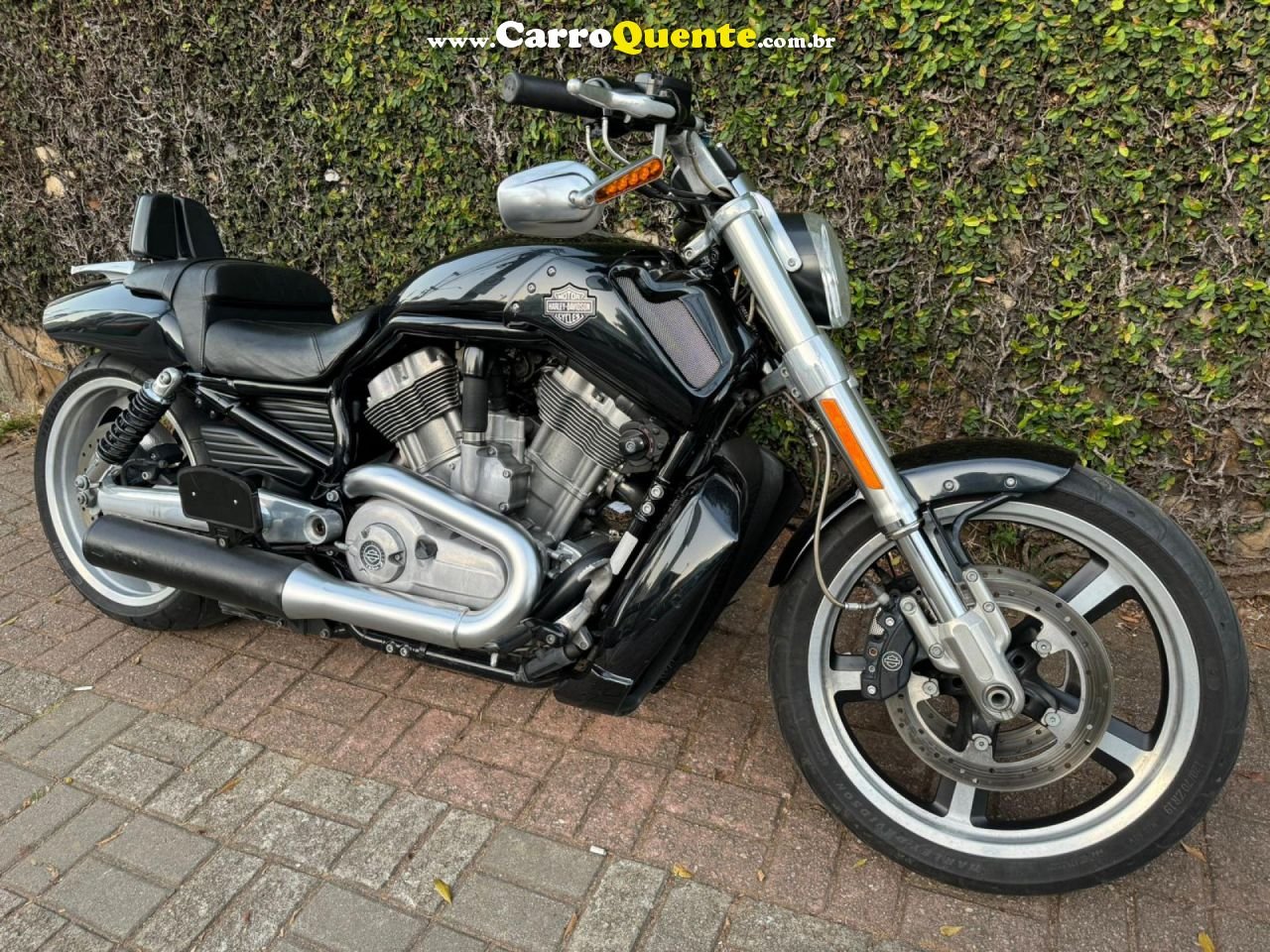 HARLEY-DAVIDSON   V-ROD 1250CC MUSCLE VRSCF   PRETO 2013 1250 GASOLINA - Loja