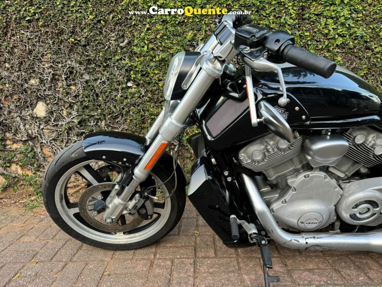 HARLEY-DAVIDSON   V-ROD 1250CC MUSCLE VRSCF   PRETO 2013 1250 GASOLINA - Loja