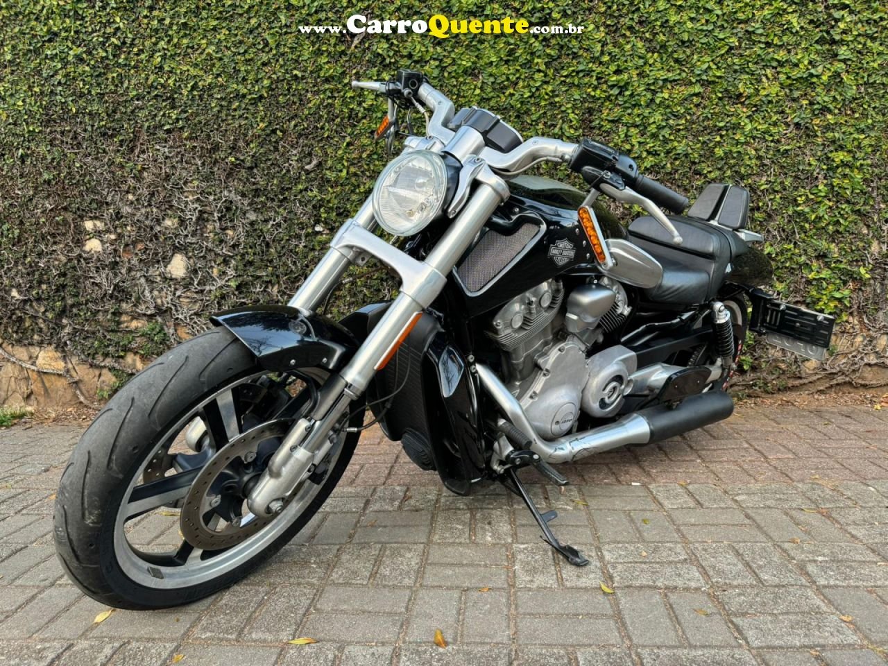 HARLEY-DAVIDSON   V-ROD 1250CC MUSCLE VRSCF   PRETO 2013 1250 GASOLINA - Loja