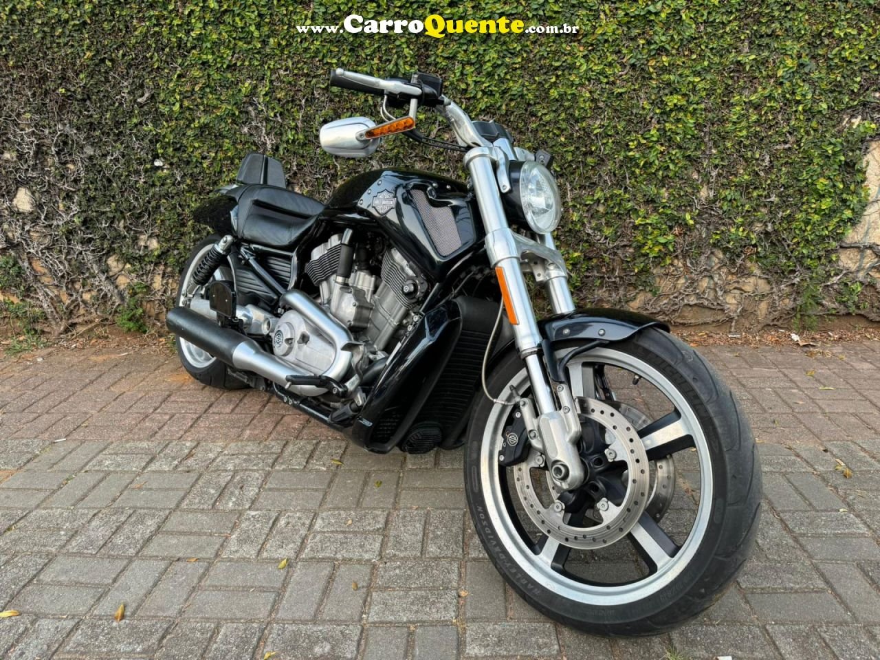 HARLEY-DAVIDSON   V-ROD 1250CC MUSCLE VRSCF   PRETO 2013 1250 GASOLINA - Loja