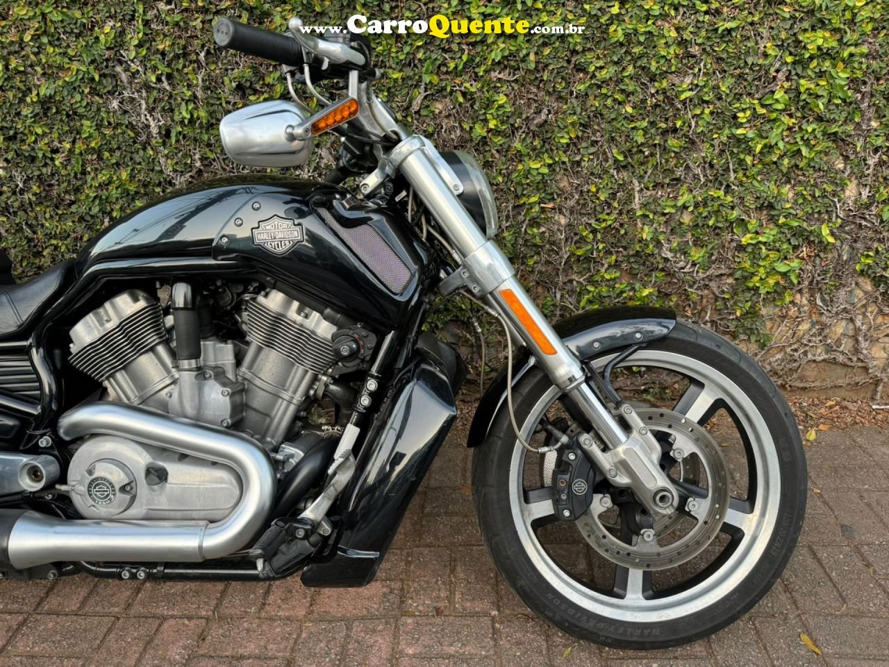 HARLEY-DAVIDSON   V-ROD 1250CC MUSCLE VRSCF   PRETO 2013 1250 GASOLINA - Loja