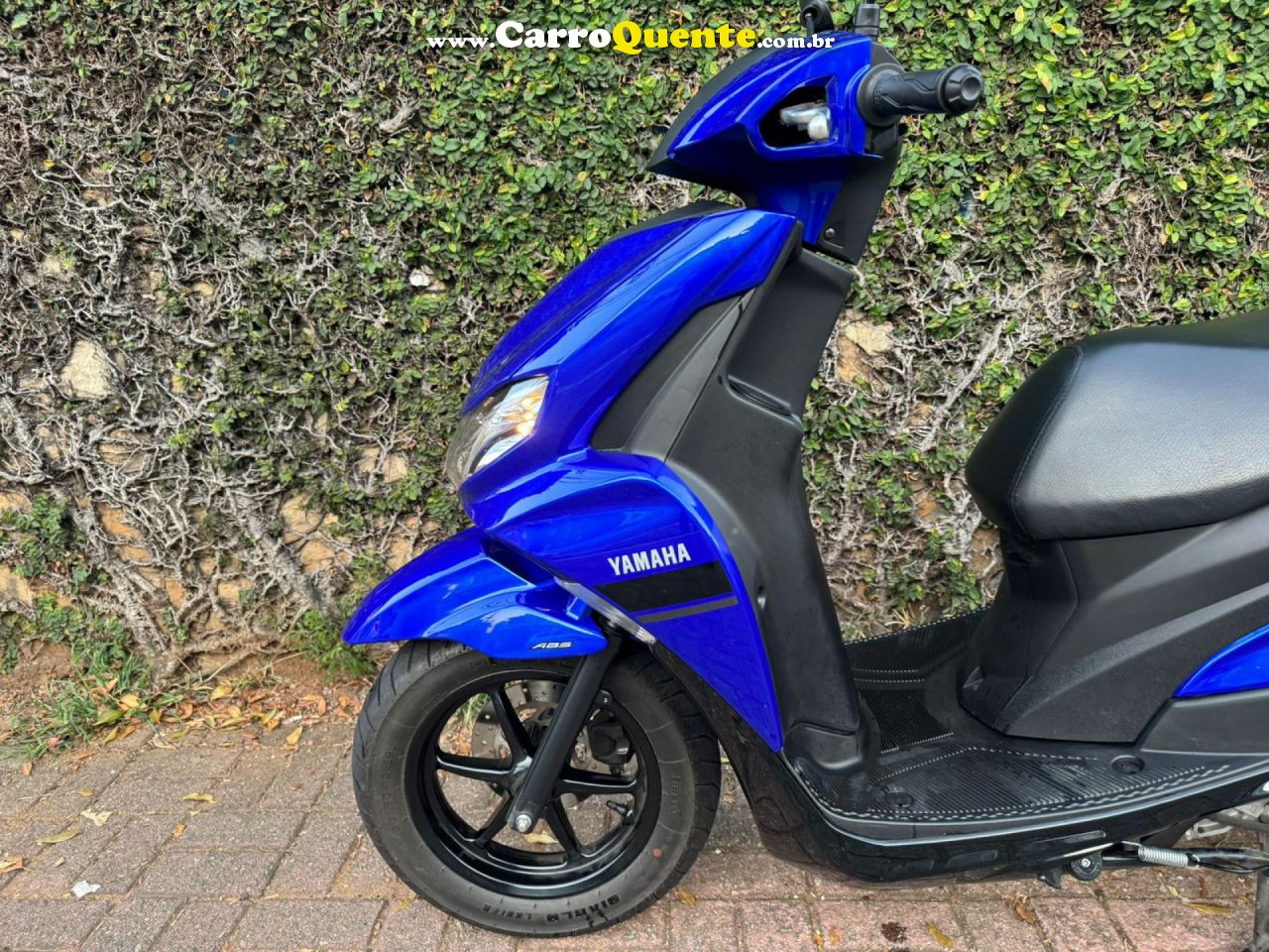 YAMAHA    FLUO 125   AZUL 2024 125 GASOLINA - Loja