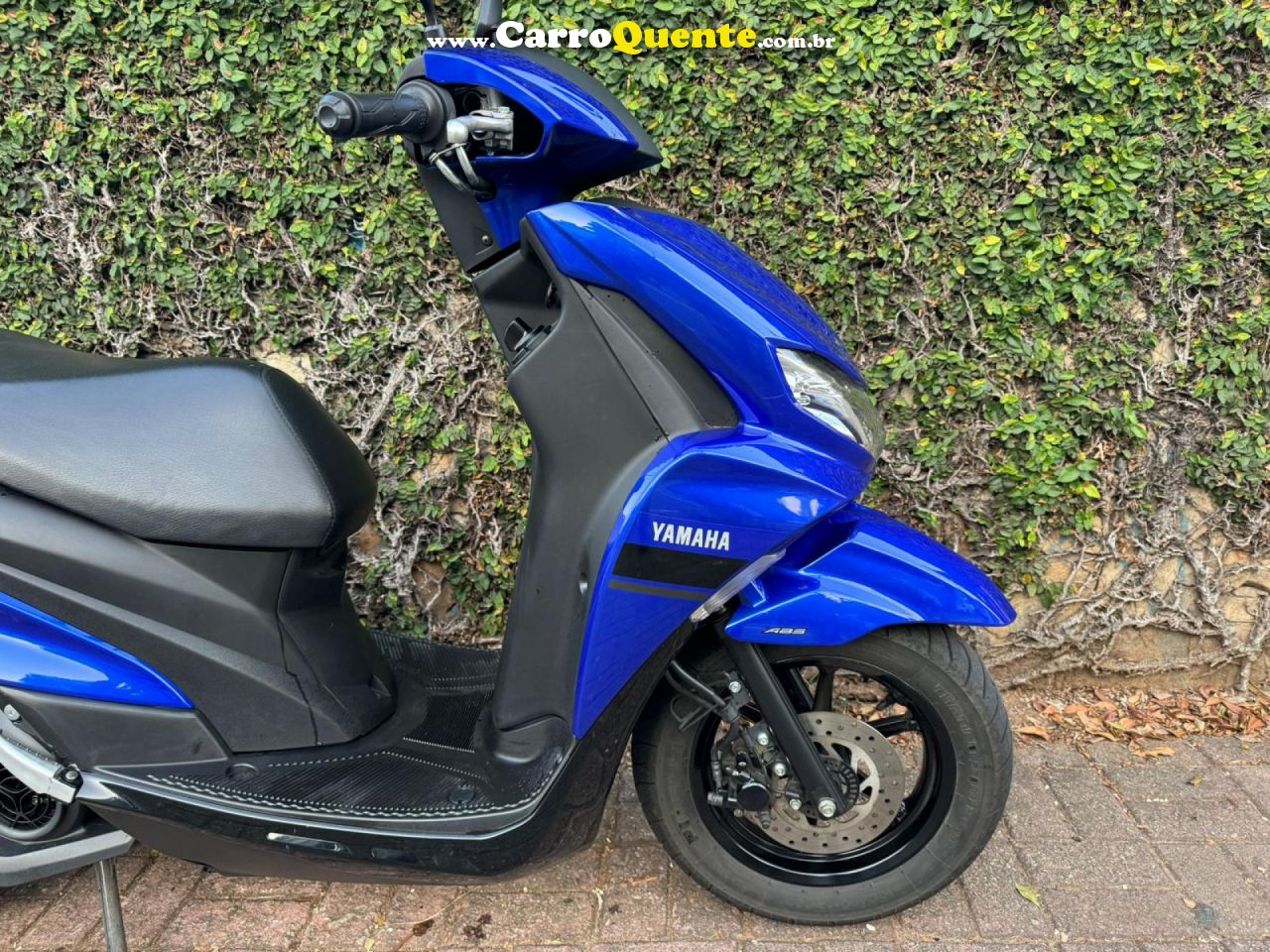 YAMAHA    FLUO 125   AZUL 2024 125 GASOLINA - Loja