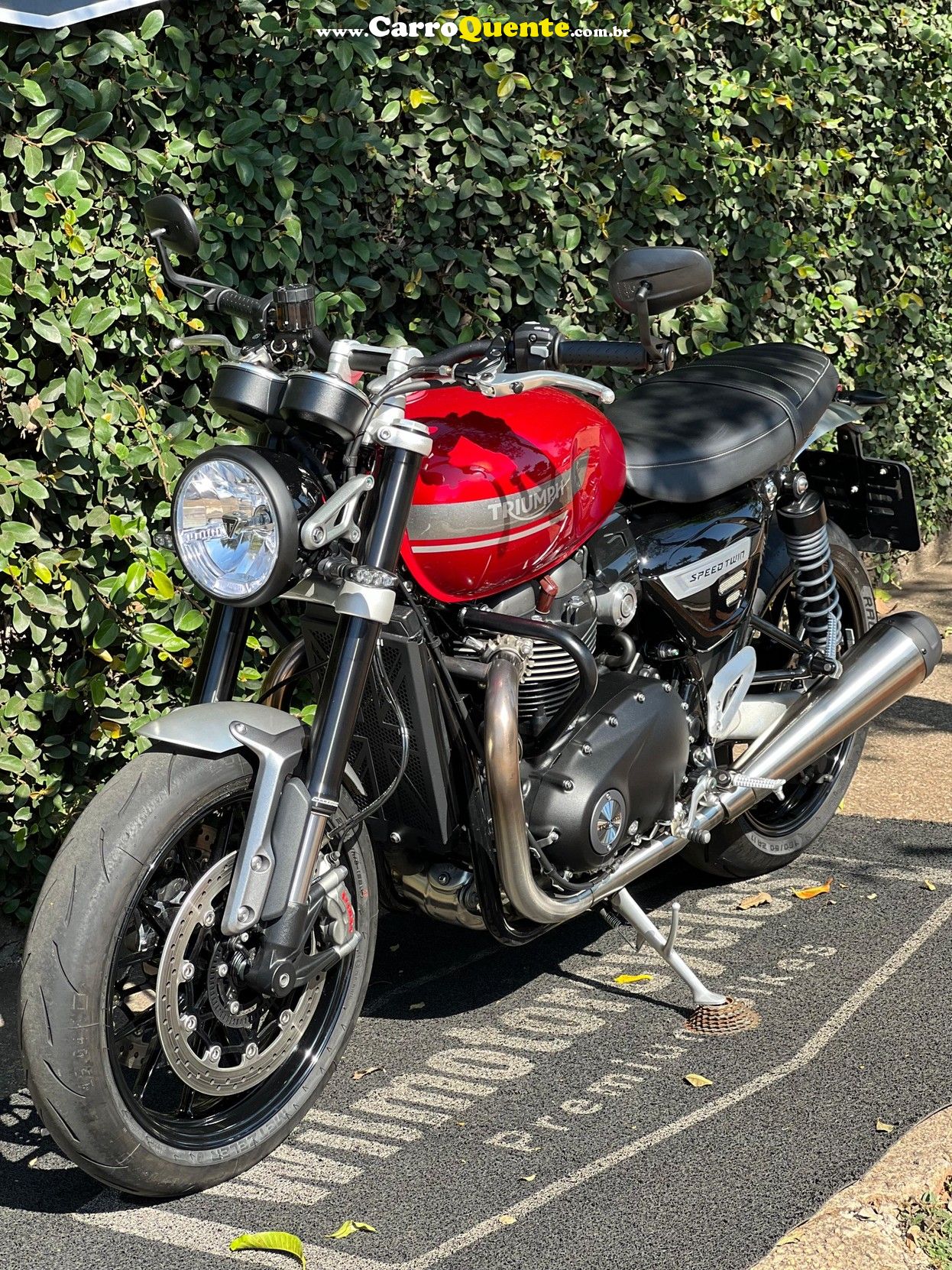 TRIUMPH SPEED TWIN   - Loja