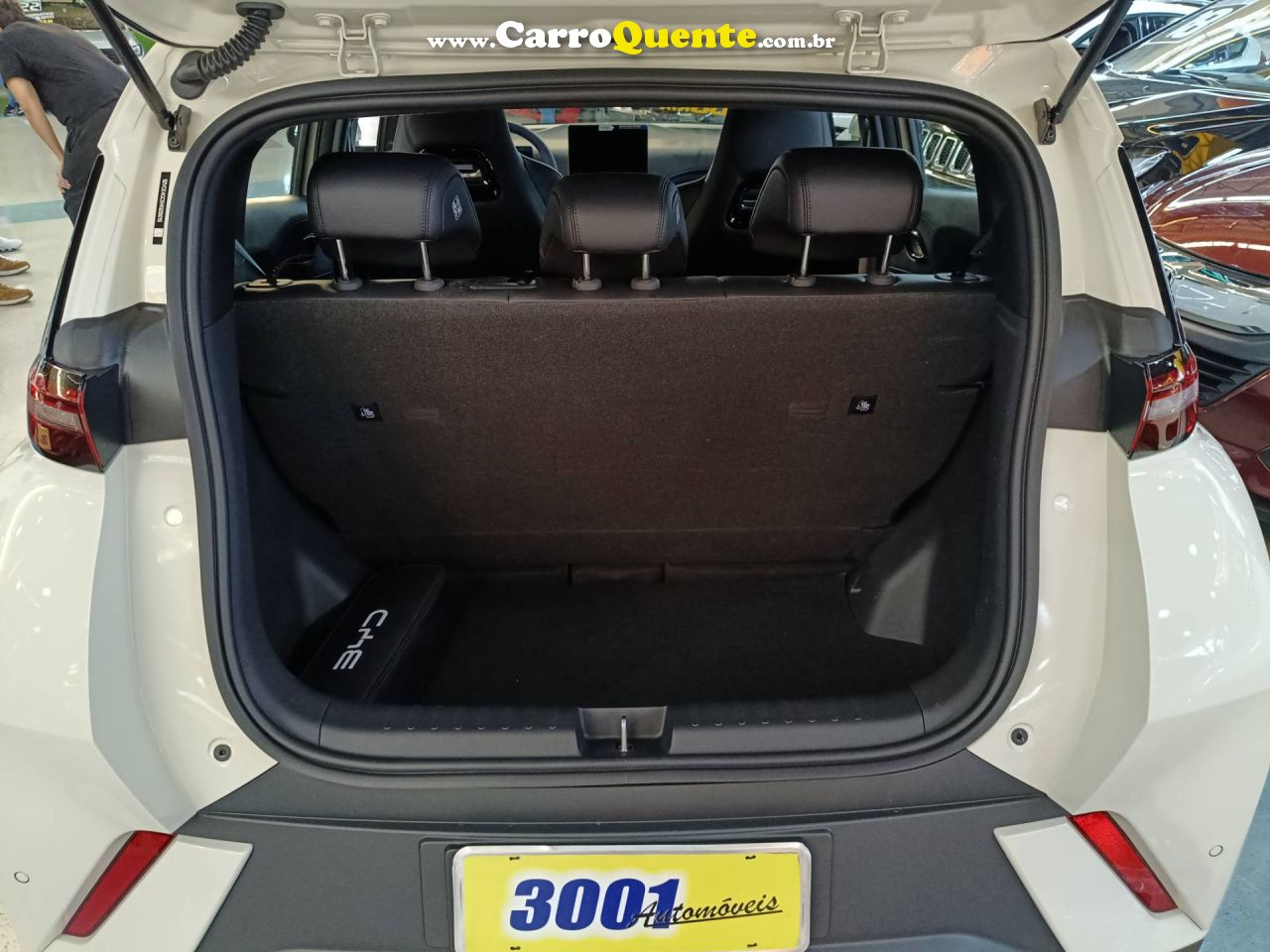 BYD DOLPHIN MINI 38 KW 5L 2027 - Loja