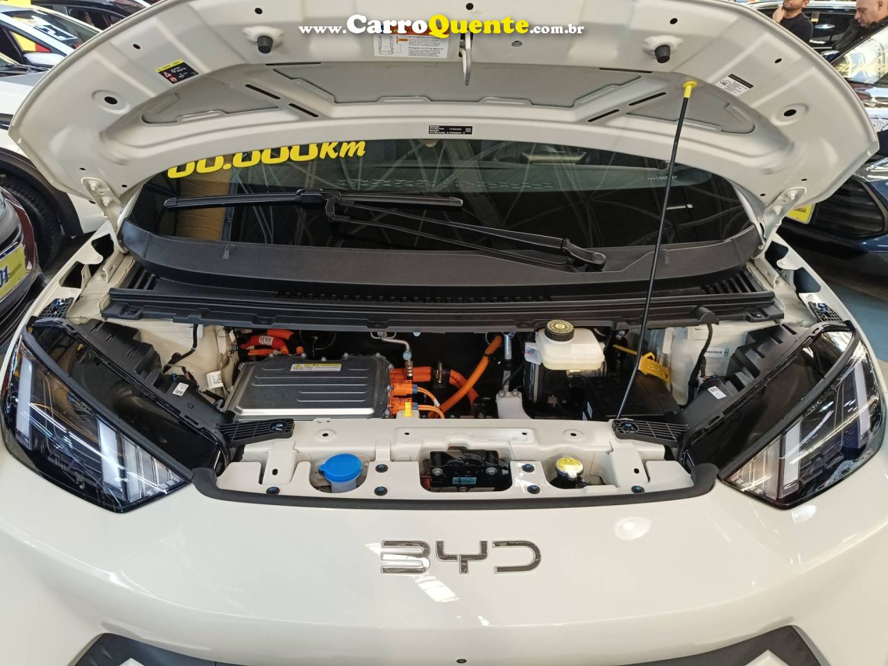 BYD DOLPHIN MINI 38 KW 5L 2027 - Loja
