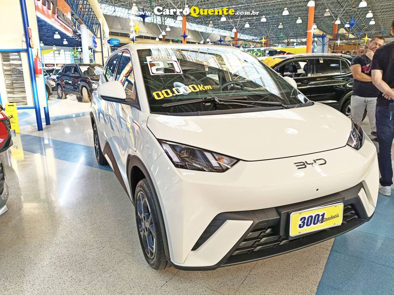 BYD DOLPHIN MINI 38 KW 5L 2027 - Loja