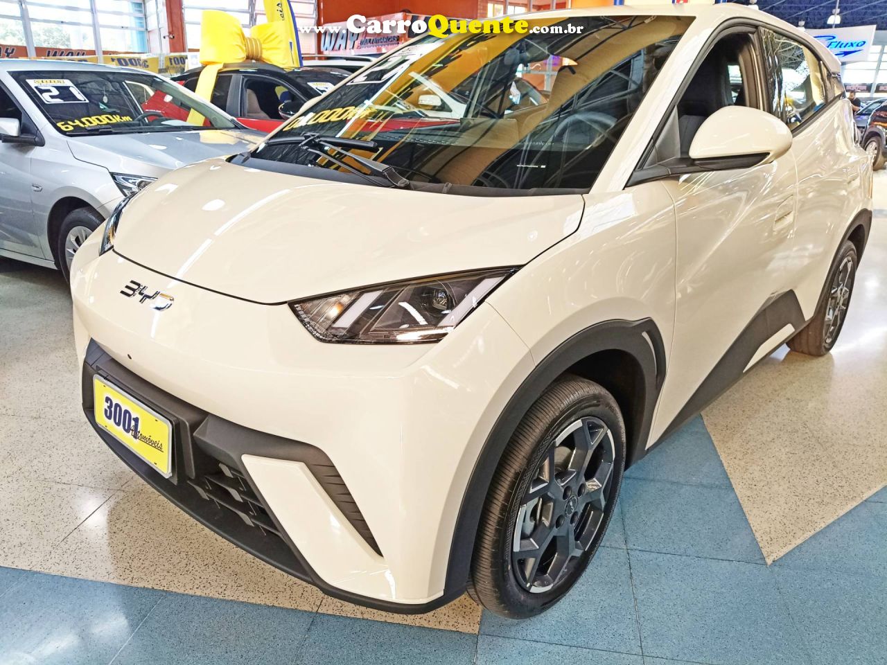 BYD DOLPHIN MINI 38 KW 5L 2027 - Loja