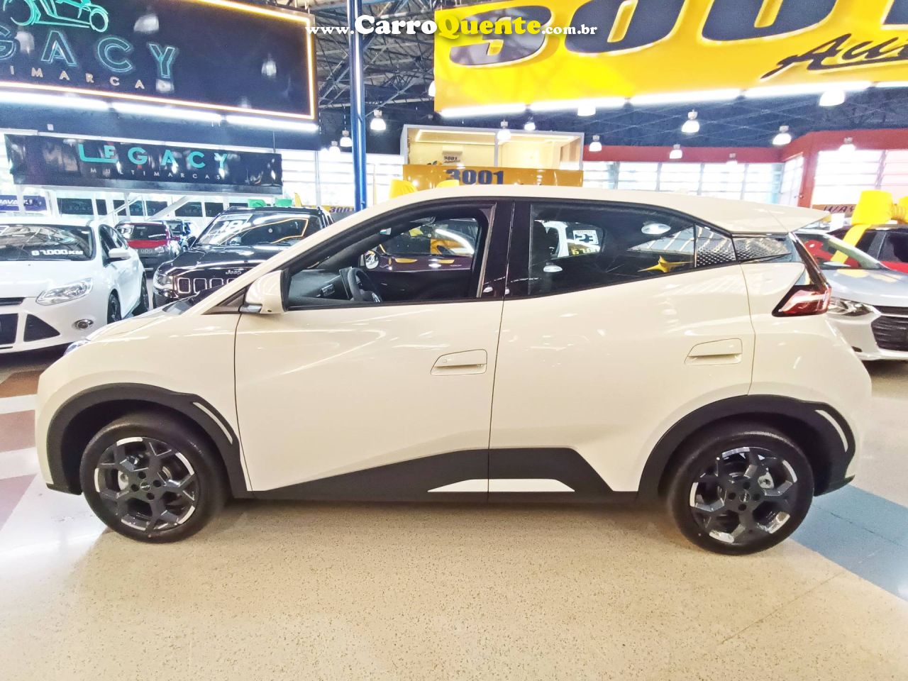 BYD DOLPHIN MINI 38 KW 5L 2027 - Loja
