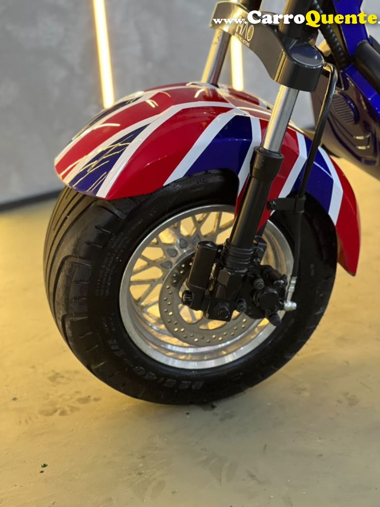 HAO ELÉTRIC MOTORS    HARLEY 16 100W   AZUL 2026 1000W FLEX - Loja