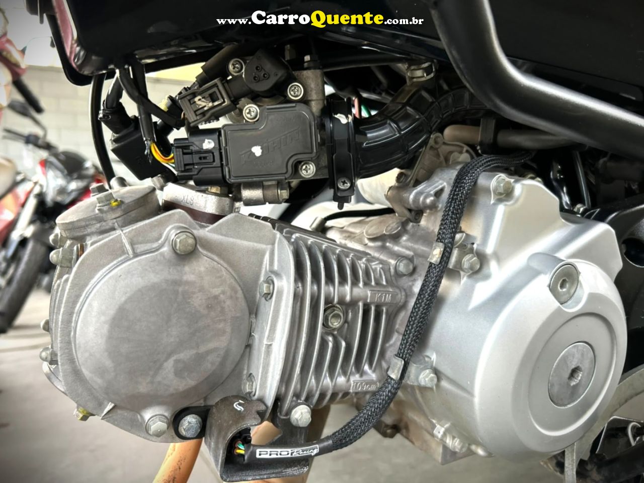 HONDA - POP 110i ES 2025 Gasolina Semi Automático - Loja