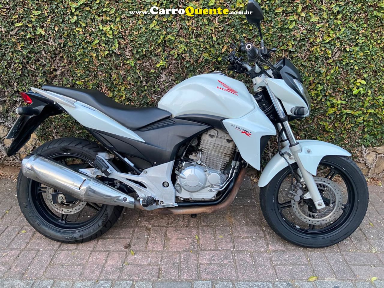 HONDA   CB 300R 300R FLEX   BRANCO 2014 300 GASOLINA - Loja