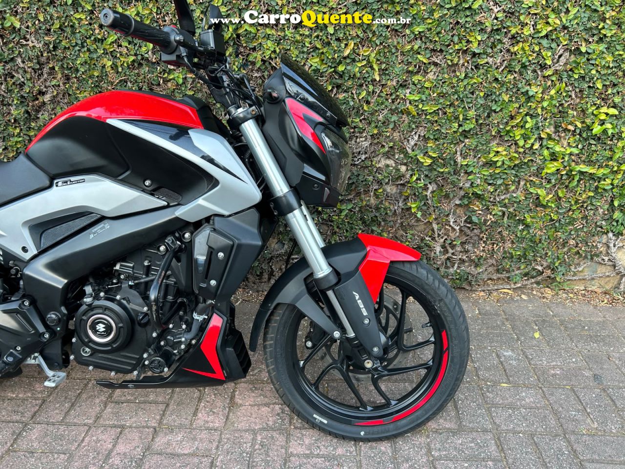 BAJAJ   DOMINAR 250   VERMELHO 2025 250 GASOLINA - Loja