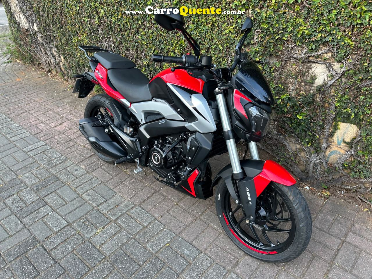 BAJAJ   DOMINAR 250   VERMELHO 2025 250 GASOLINA - Loja