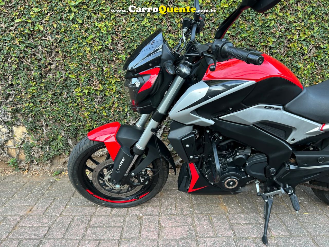 BAJAJ   DOMINAR 250   VERMELHO 2025 250 GASOLINA - Loja