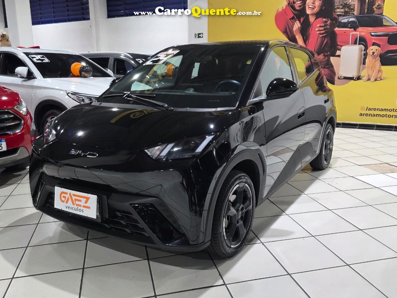 BYD DOLPHIN MINI 3.8 KW GS 2024 - Loja
