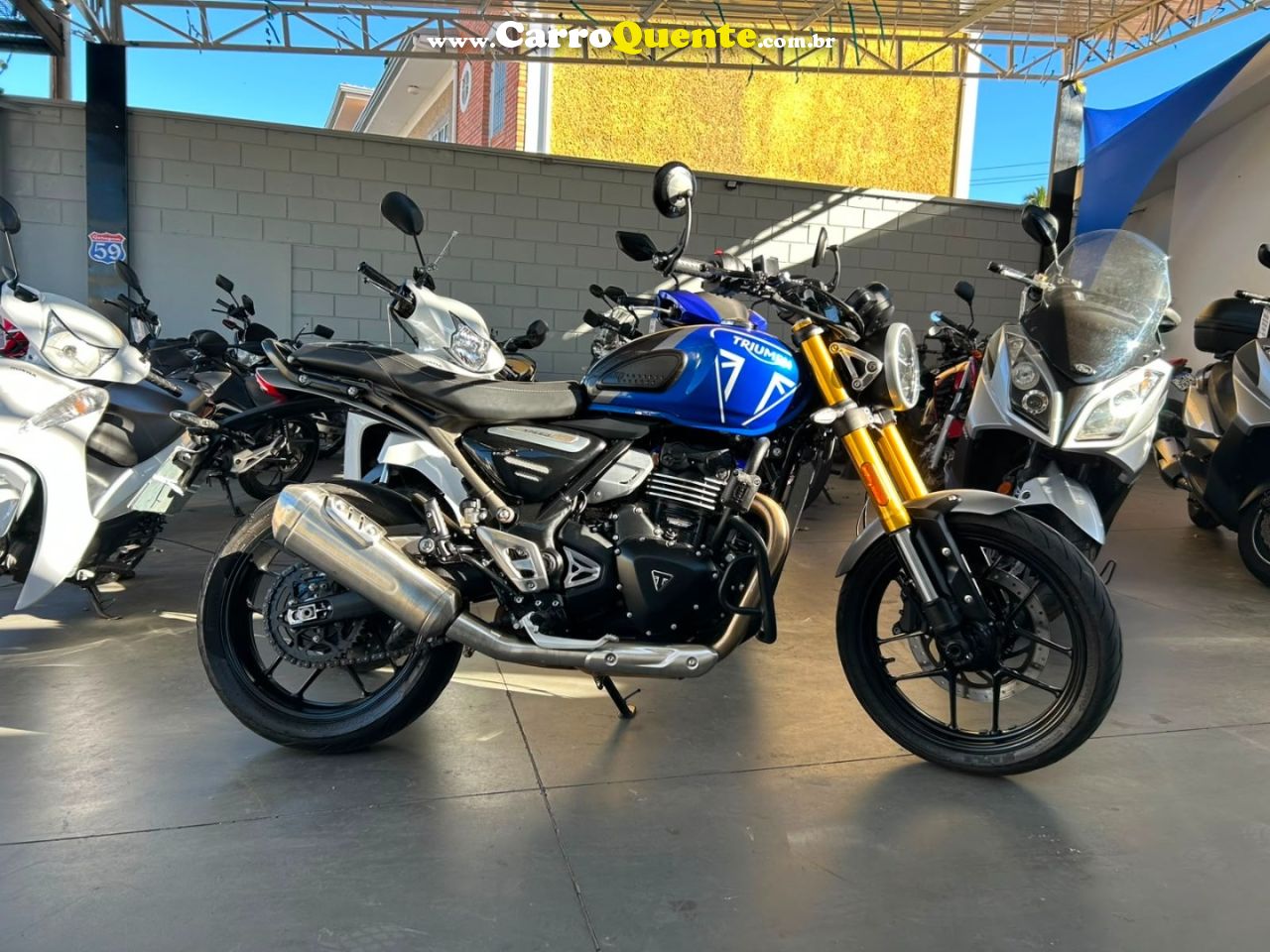 TRIUMPH - SPEED 400 2025 Gasolina Manual - Loja