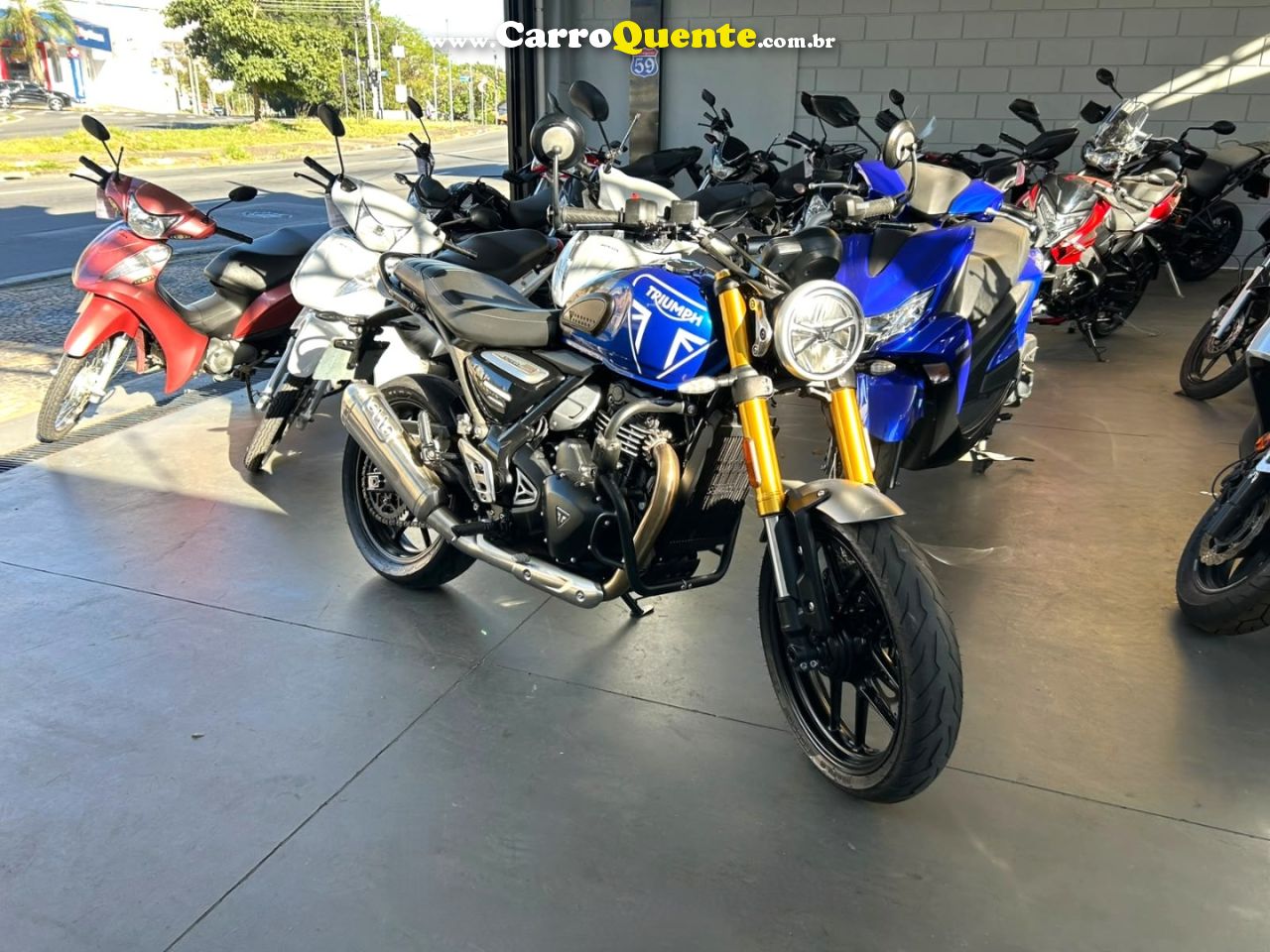 TRIUMPH - SPEED 400 2025 Gasolina Manual - Loja