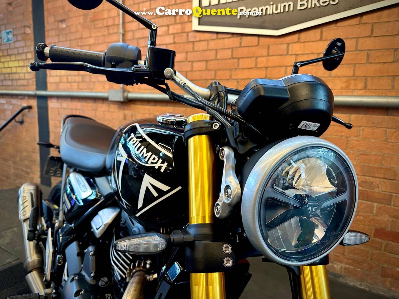 TRIUMPH SPEED 400 2025 - Loja