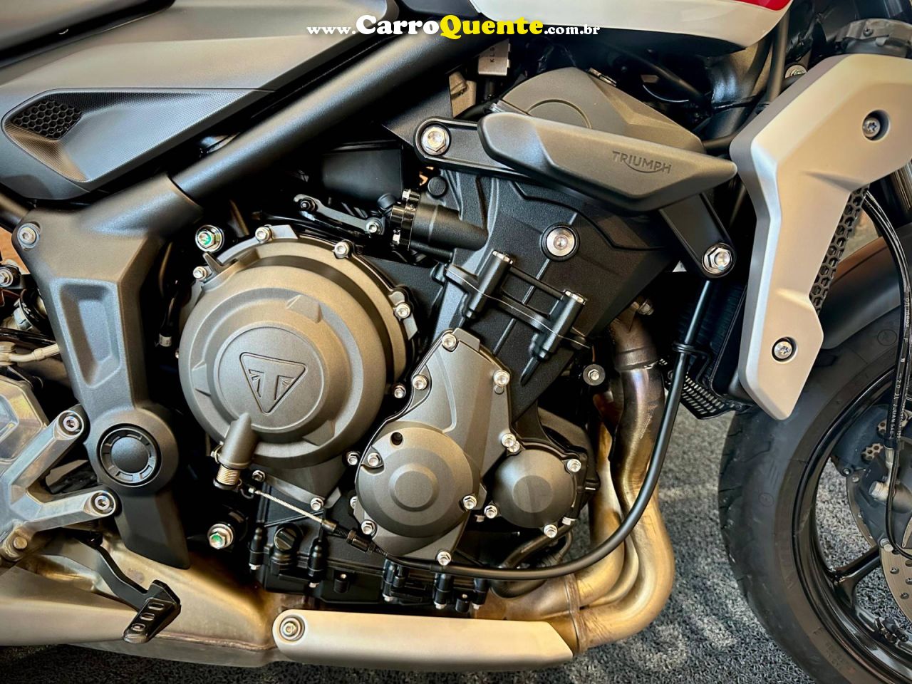 TRIUMPH TRIDENT 660 2022 - Loja
