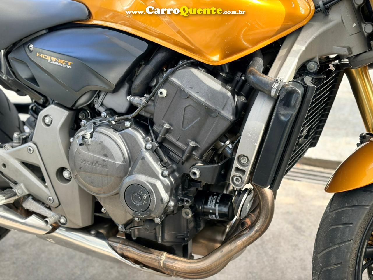 HONDA   CB 600F HORNET   AMARELO 2009 600cc GASOLINA - Loja