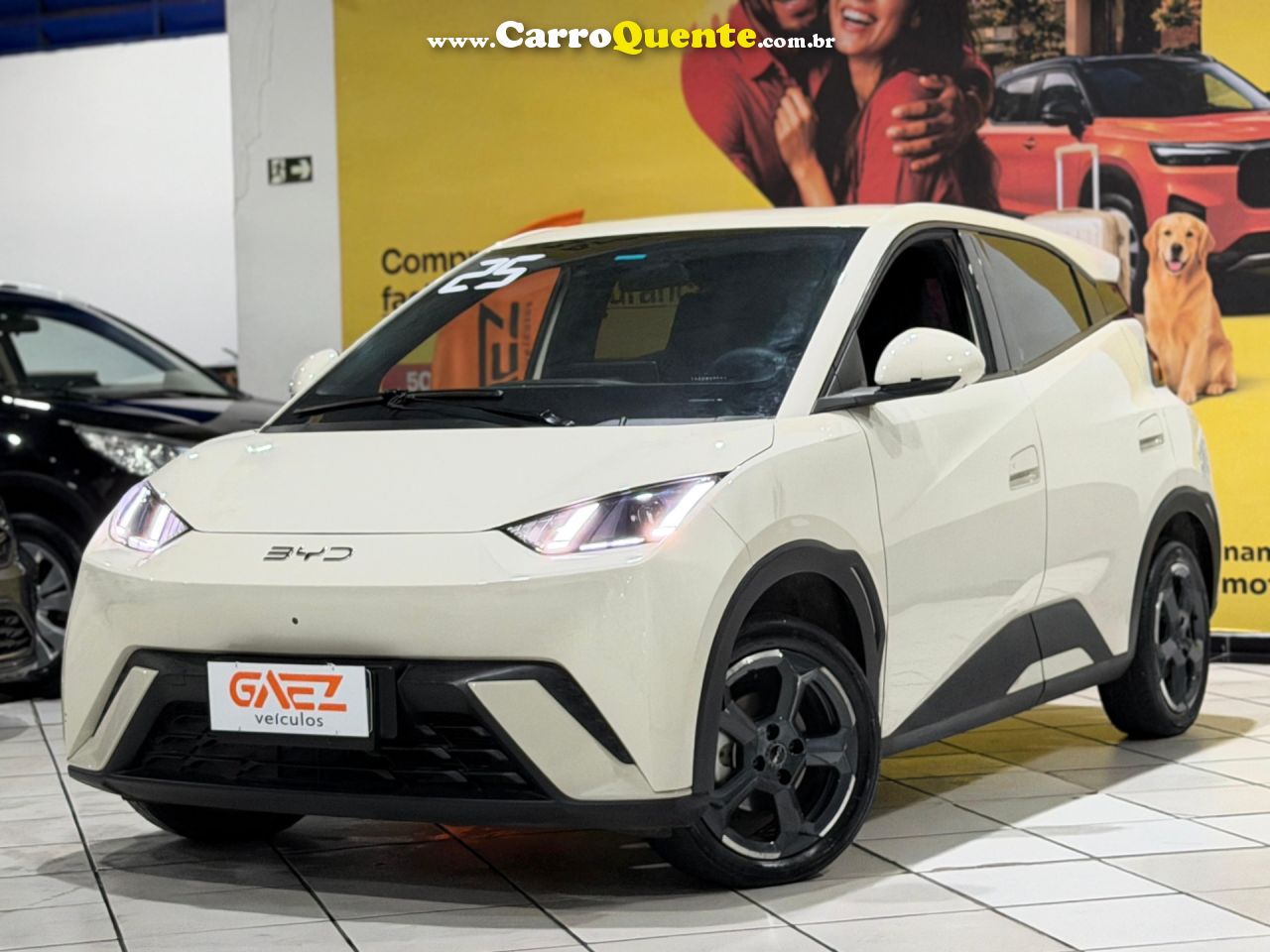 BYD DOLPHIN MINI 38 KW 5L 2025 - Loja