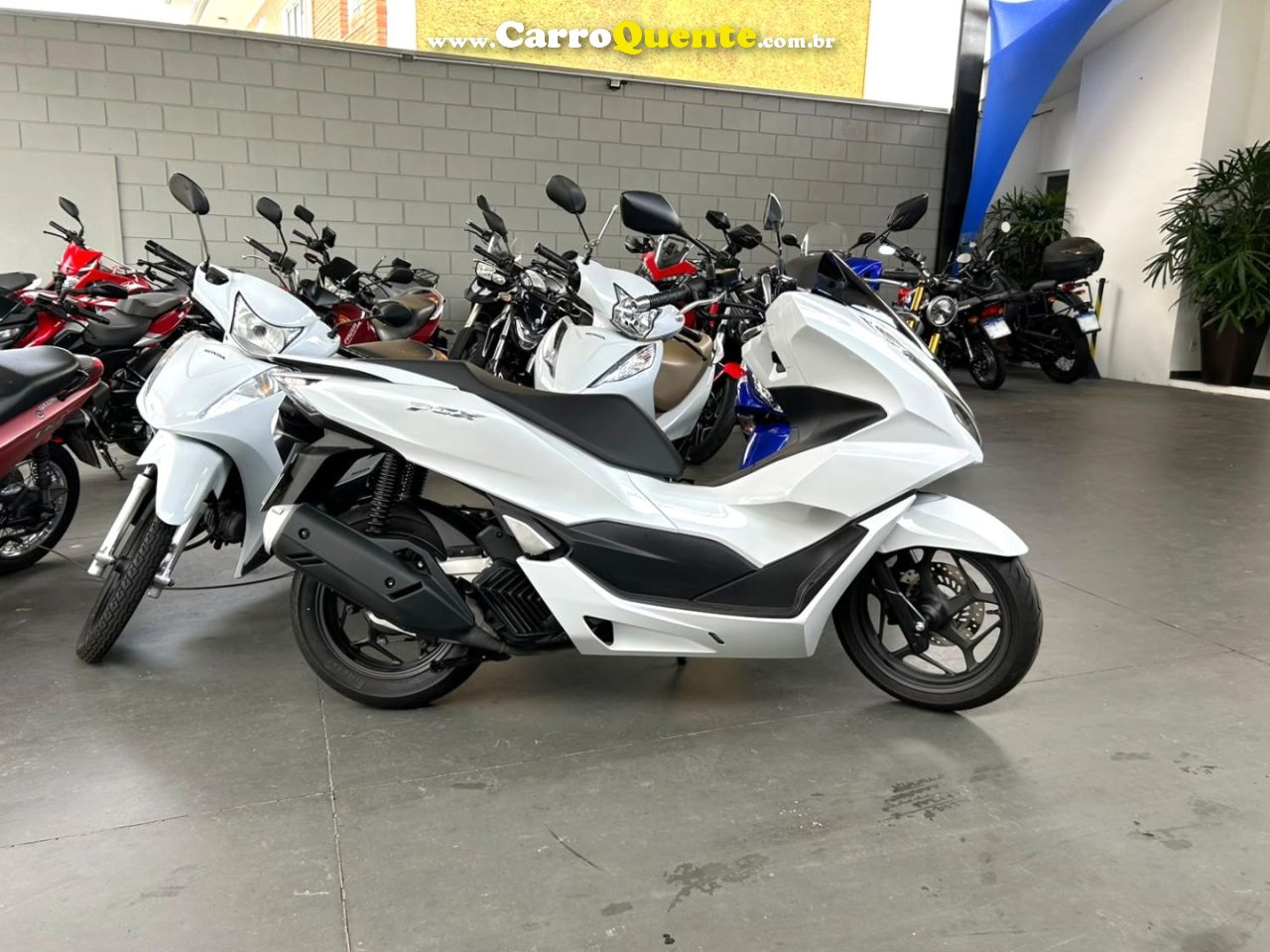 HONDA PCX 160 2026 Gasolina Automático - Loja
