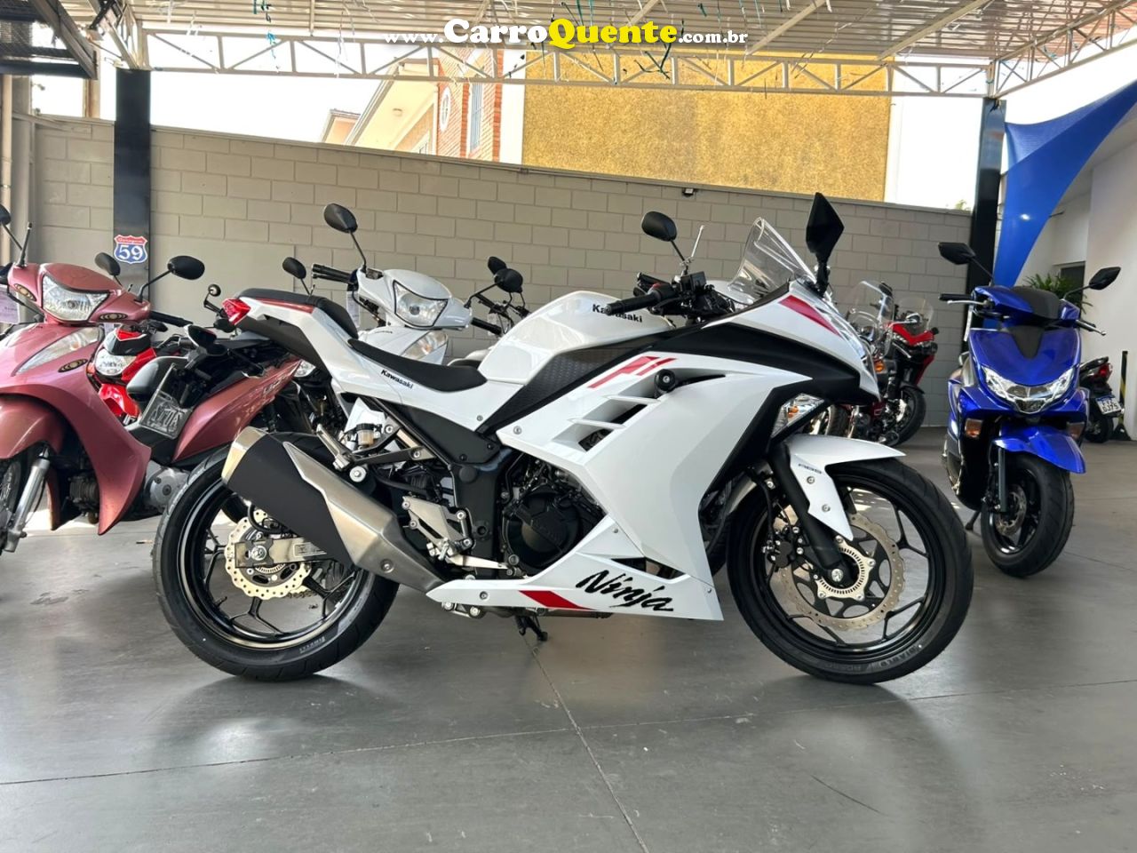 KAWASAKI - NINJA 300 2026 Gasolina Manual - Loja