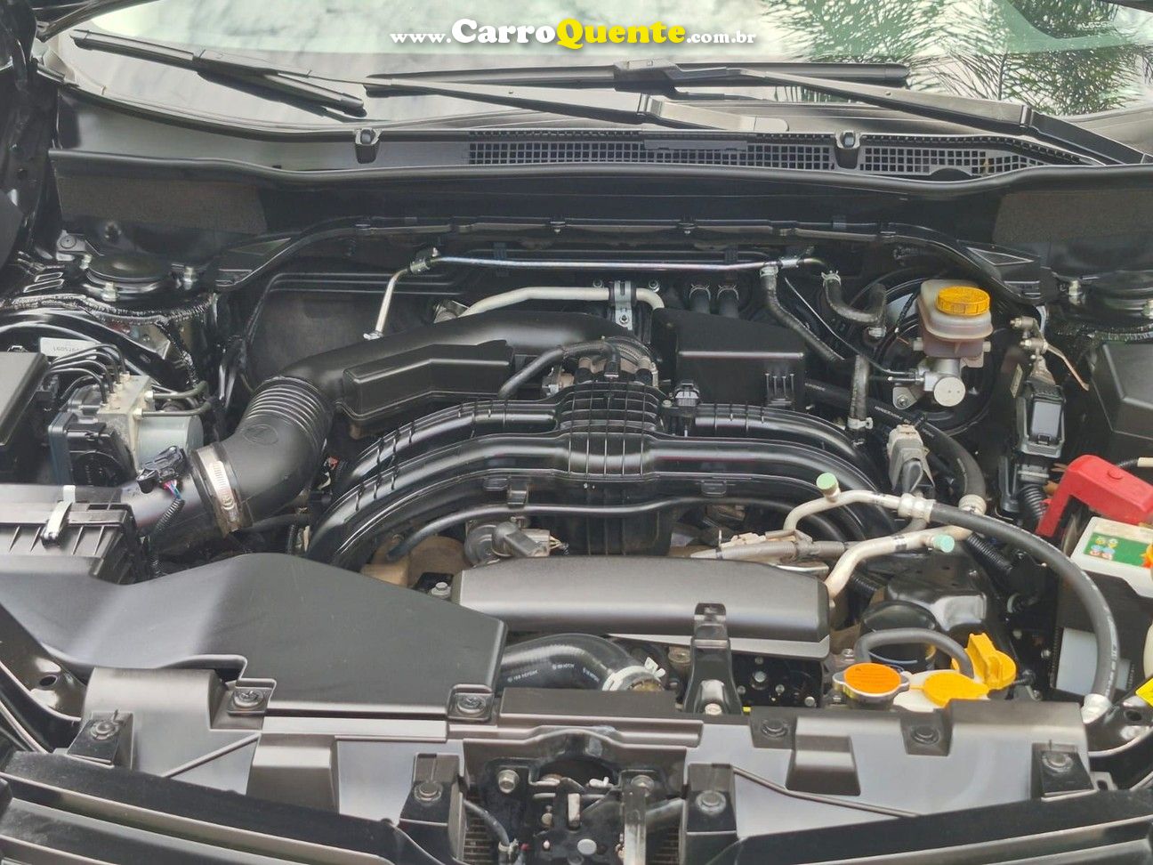 SUBARU FOR 2020 - Loja