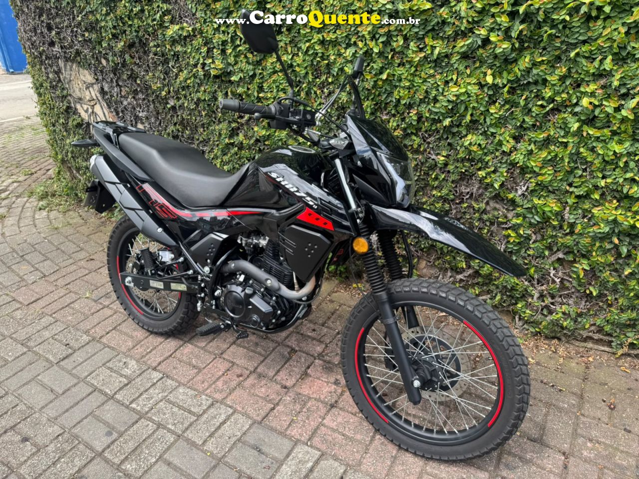 SHINERAY   SHI 175   PRETO 2026 175 GASOLINA - Loja