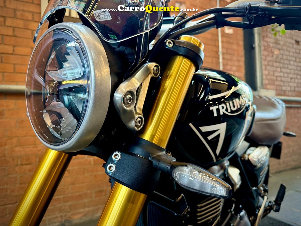 TRIUMPH SPEED 400 2025 - Loja