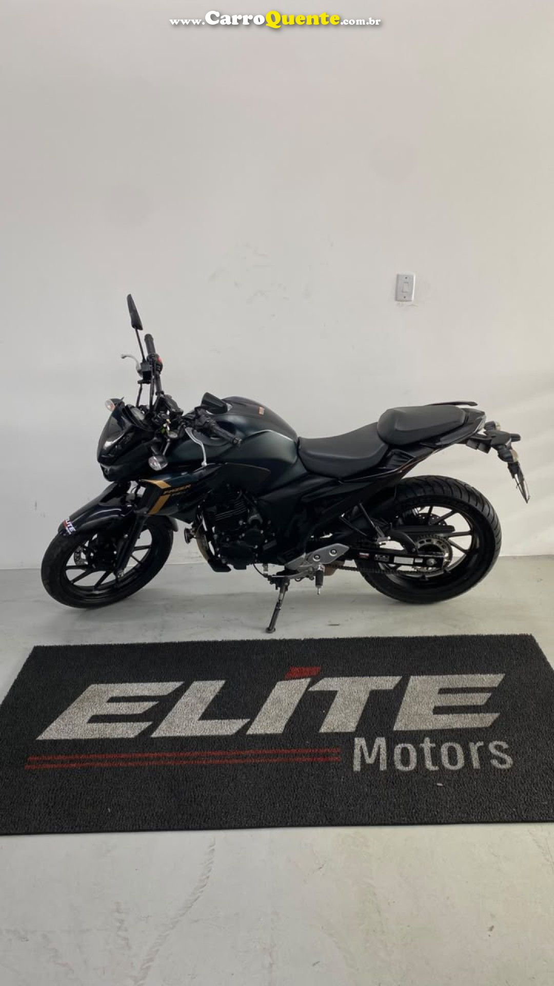 YAMAHA    YAMAHAFZ25 FAZER   VERDE 2024 250 FLEX - Loja