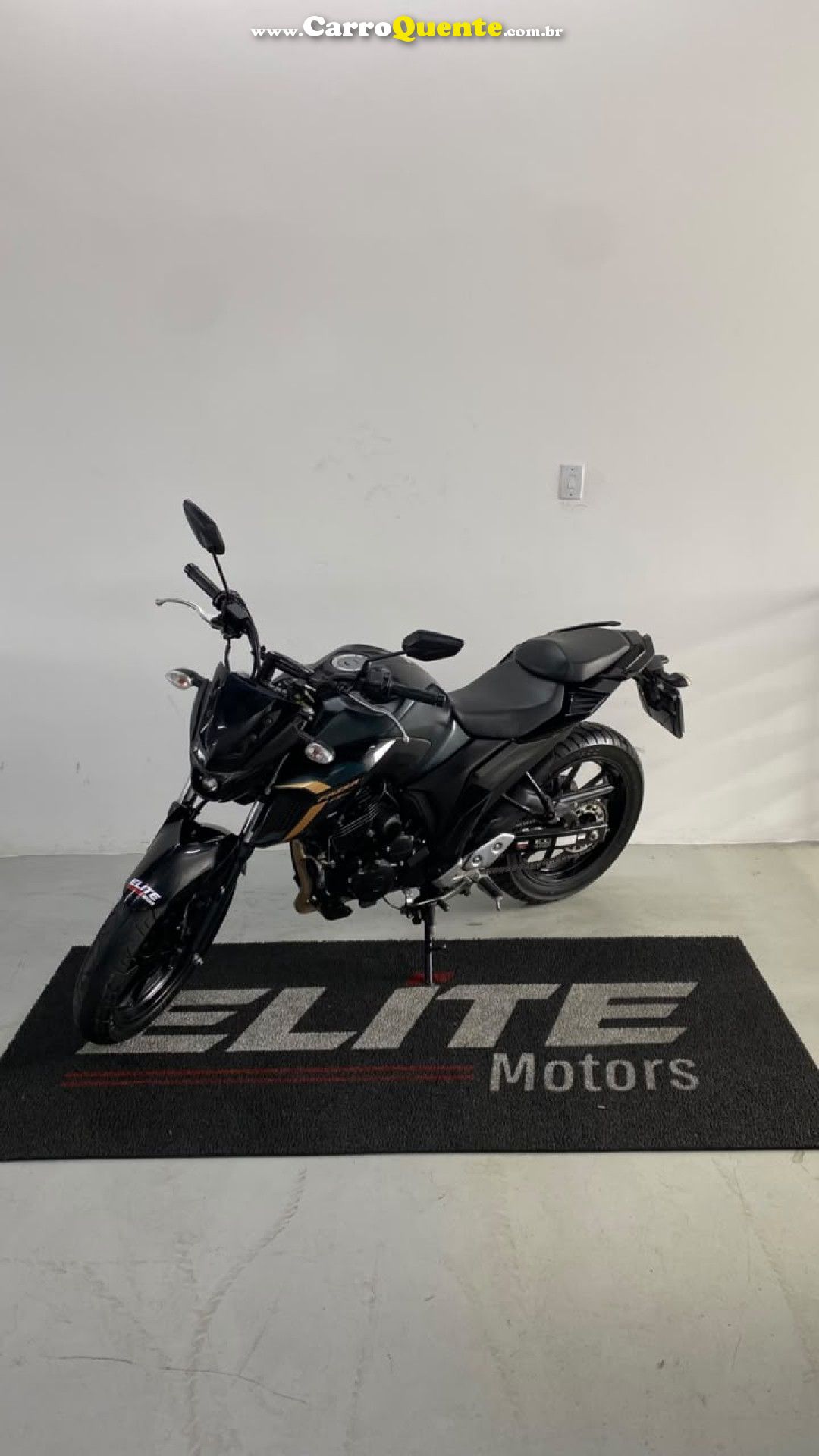 YAMAHA    YAMAHAFZ25 FAZER   VERDE 2024 250 FLEX - Loja
