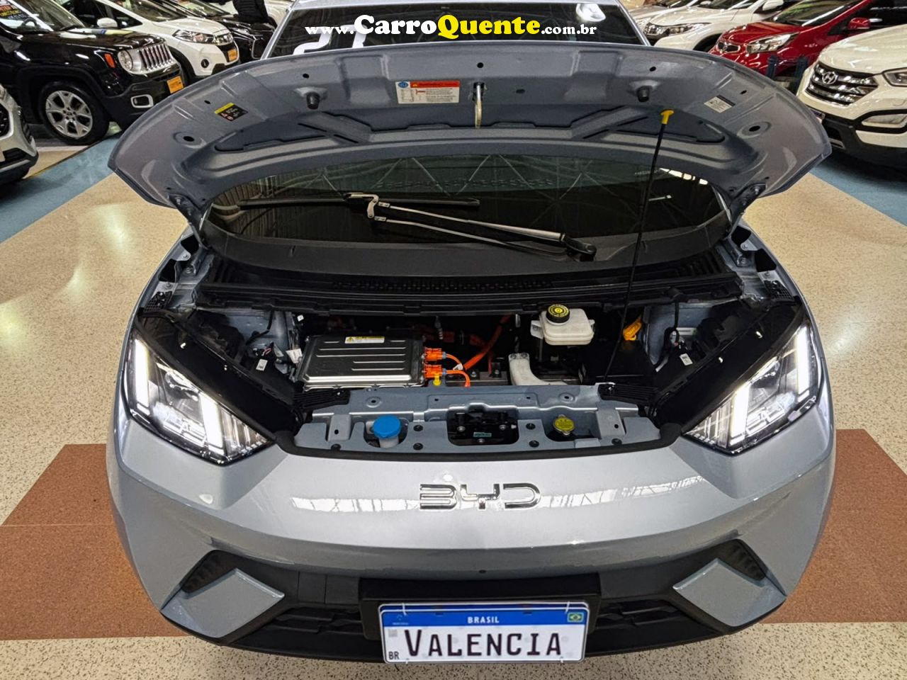 BYD DOLPHIN MINI 38 KW GS 2027 - Loja