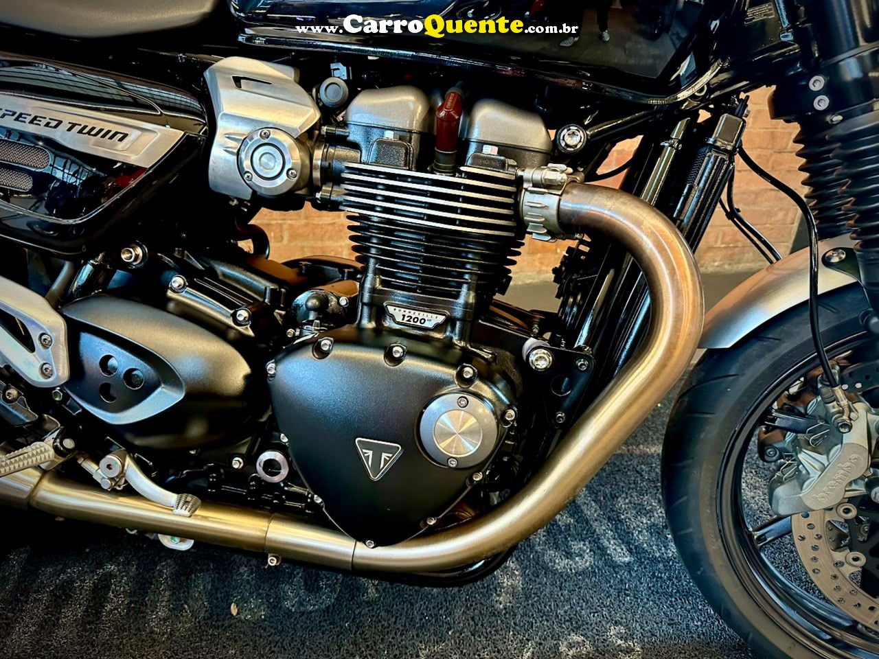 TRIUMPH SPEED TWIN 2020 - Loja