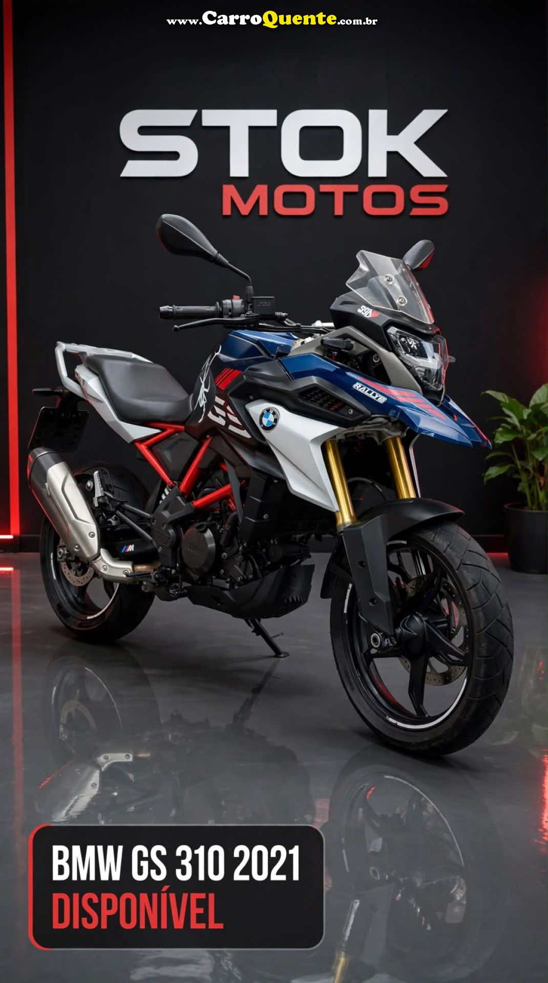BMW   G 310 GS   AZUL 2021 310CC GASOLINA - Loja