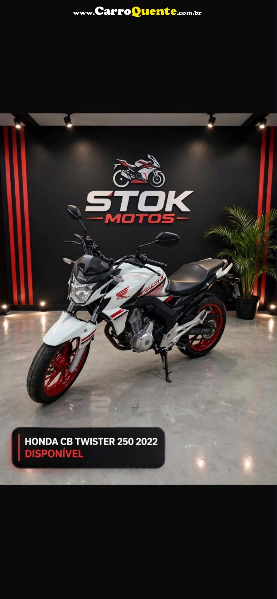 HONDA   CB TWISTERFLEXONE 250CC   BRANCO 2022 250CC FLEX - Loja