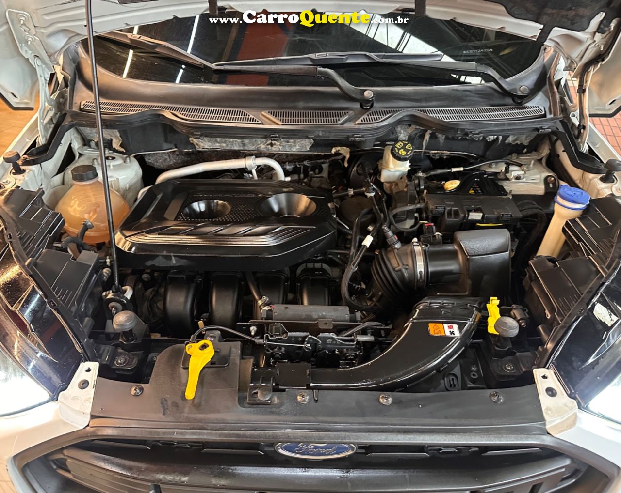 FORD ECOSPORT 2.0 DIRECT STORM 4WD 2019 - Loja
