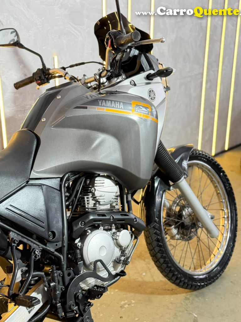 YAMAHA    XTZ250 TENERE   CINZA 2016 249 FLEX - Loja