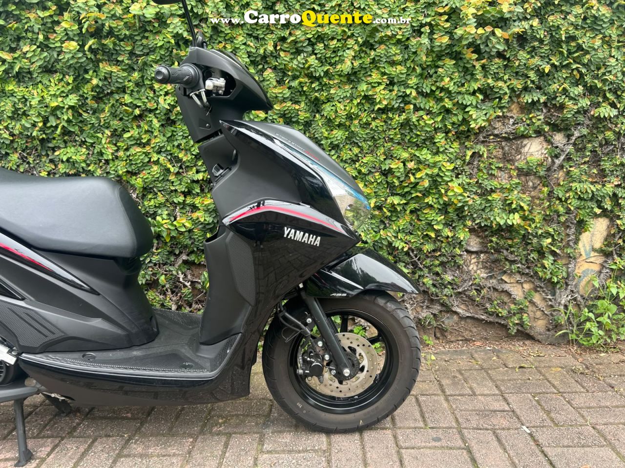 YAMAHA    FLUO 125   PRETO 2026 125 GASOLINA - Loja